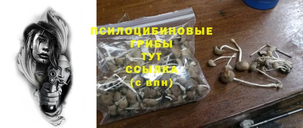 не бодяженный Богданович