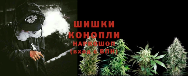 не бодяженный Богданович