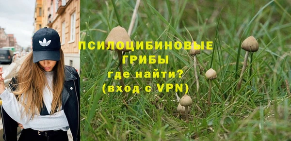 не бодяженный Богданович