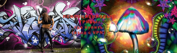 ешки Богородицк