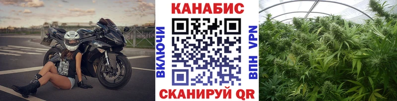 Бошки Шишки AK-47  мега маркетплейс  Белая Холуница  сколько стоит 